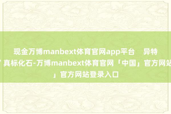 现金万博manbext体育官网app平台    异特龙“大卫”真标化石-万博manbext体育官网「中国」官方网站登录入口