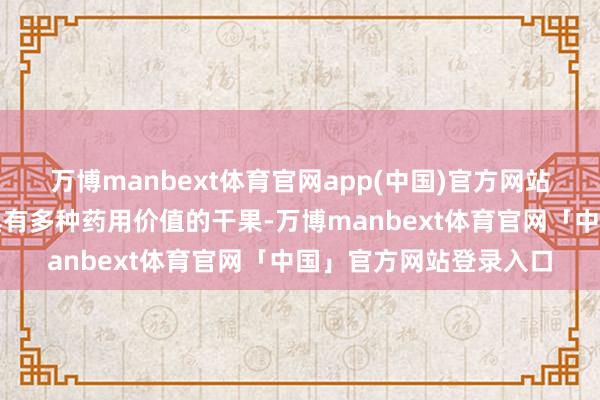 万博manbext体育官网app(中国)官方网站是一种养分价值高、具有多种药用价值的干果-万博manbext体育官网「中国」官方网站登录入口