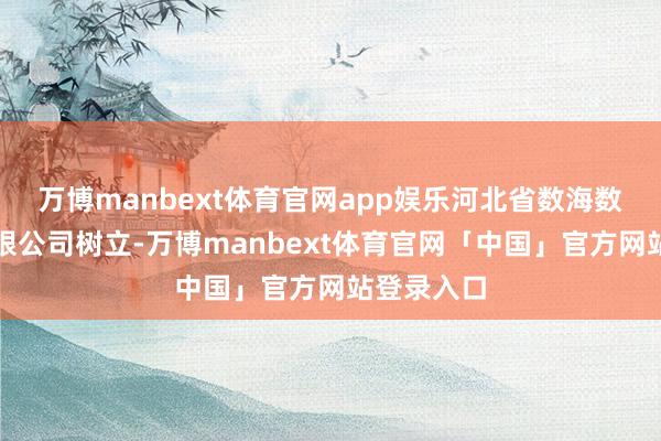 万博manbext体育官网app娱乐河北省数海数据科技有限公司树立-万博manbext体育官网「中国」官方网站登录入口