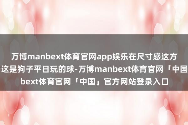 万博manbext体育官网app娱乐在尺寸感这方面确切很容易翻车!这是狗子平日玩的球-万博manbext体育官网「中国」官方网站登录入口