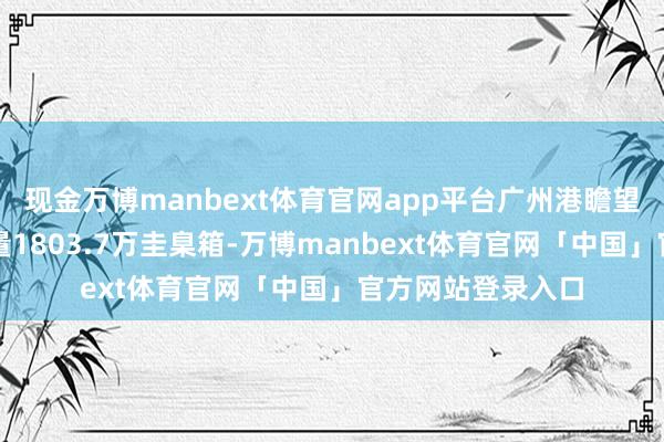 现金万博manbext体育官网app平台广州港瞻望完成集装箱蒙胧量1803.7万圭臬箱-万博manbext体育官网「中国」官方网站登录入口