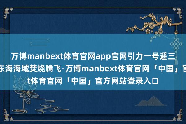 万博manbext体育官网app官网引力一号遥三输送火箭在我国东海海域焚烧腾飞-万博manbext体育官网「中国」官方网站登录入口