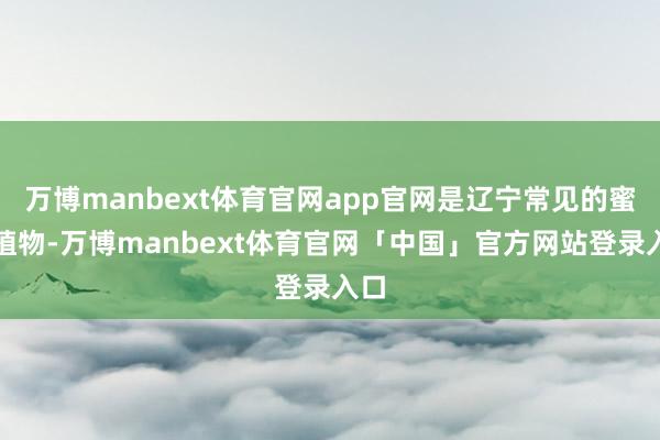 万博manbext体育官网app官网是辽宁常见的蜜源植物-万博manbext体育官网「中国」官方网站登录入口
